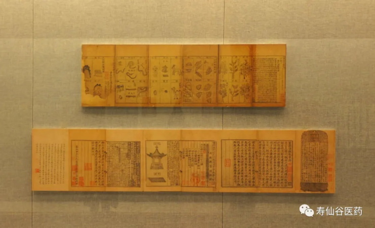 浙江壽仙谷醫(yī)藥股份有限公司